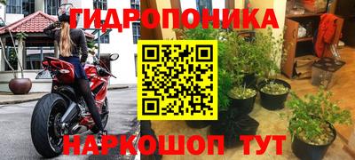 ГАЛЛЮЦИНОГЕННЫЕ ГРИБЫ Заволжье